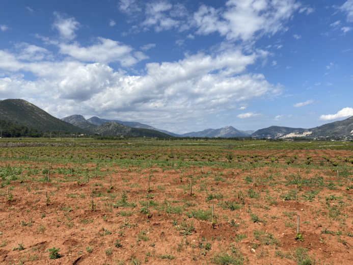 VALL DE POP 2