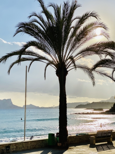 EL PORTET 6